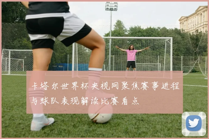 卡塔尔世界杯央视网聚焦赛事进程与球队表现解读比赛看点